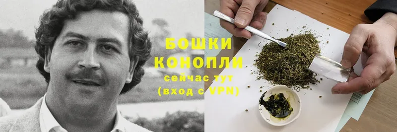 купить наркотик  Нестеров  МАРИХУАНА THC 21% 